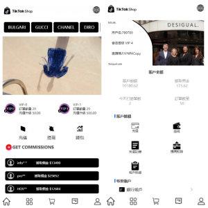 多语言TIKTOK抢单刷单系统/连单卡单/打针/前端uniapp