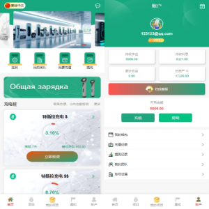 新UI新能源充电桩投资系统/海外投资理财/前端VUE
